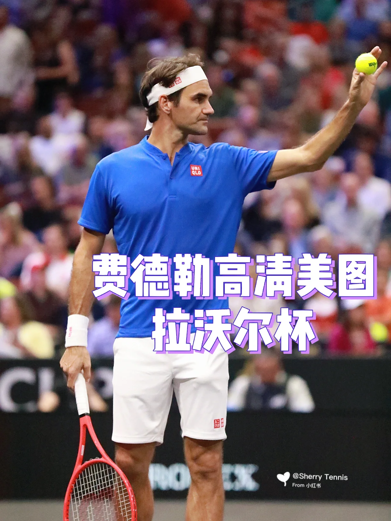 英国网球队鏖战美国网球队，费德勒高光表现的简单介绍