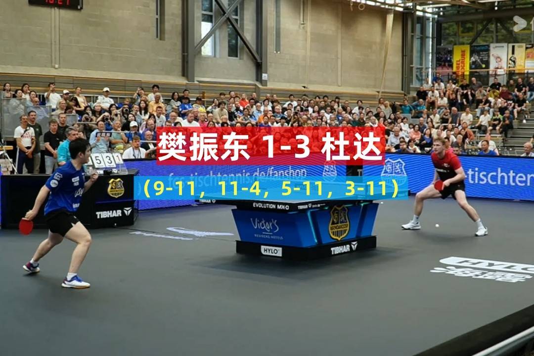 比利时乒乓球队碾压法国乒乓球队，许昕统治全场的简单介绍