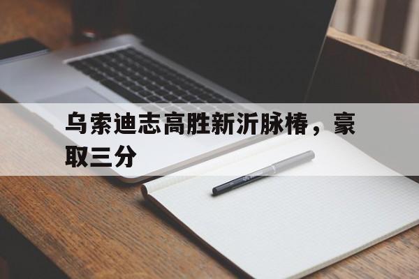 开云APP-关于乌索迪志高胜新沂脉椿，豪取三分的信息
