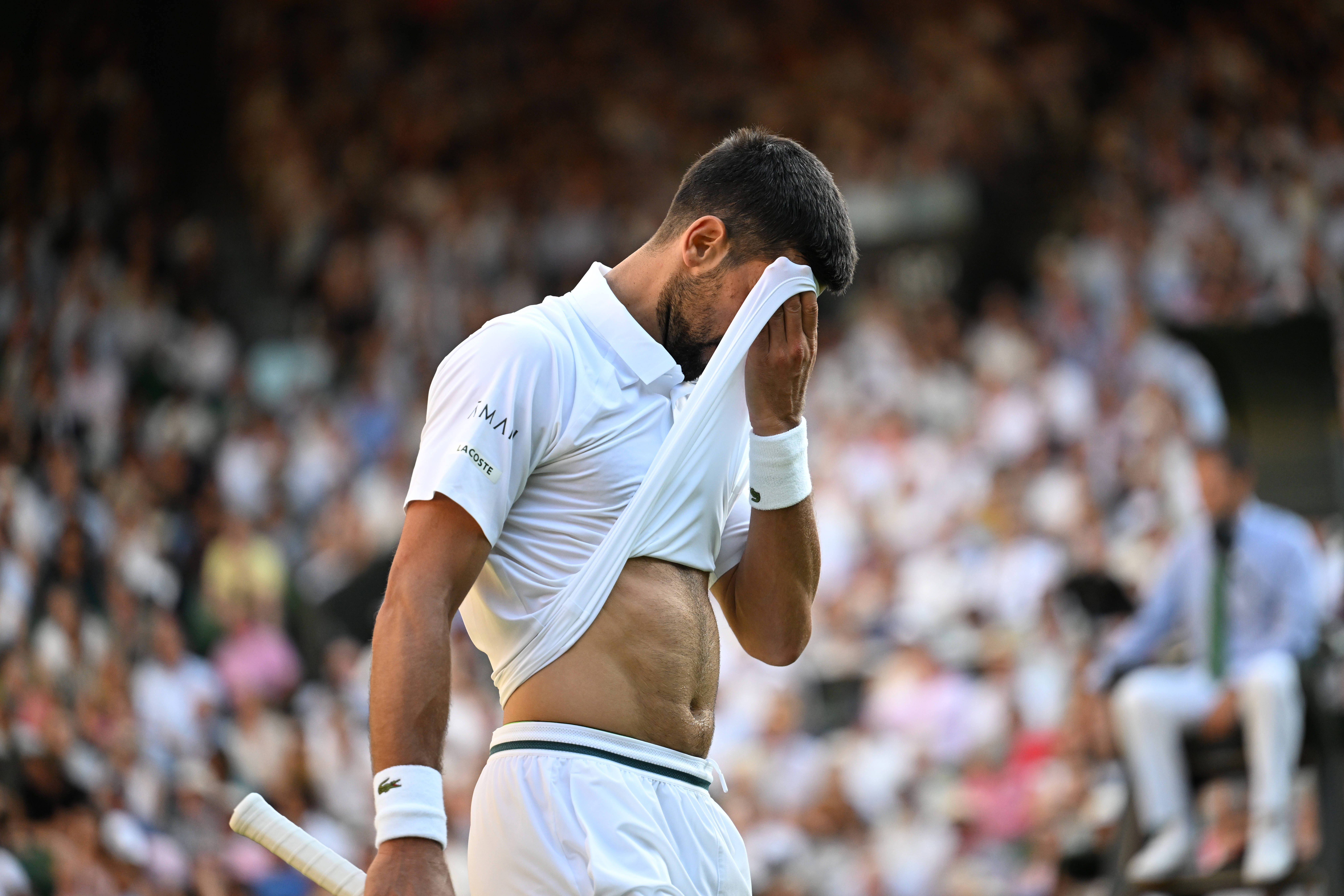 包含温网力克年终总决赛，辛纳刷新纪录的词条