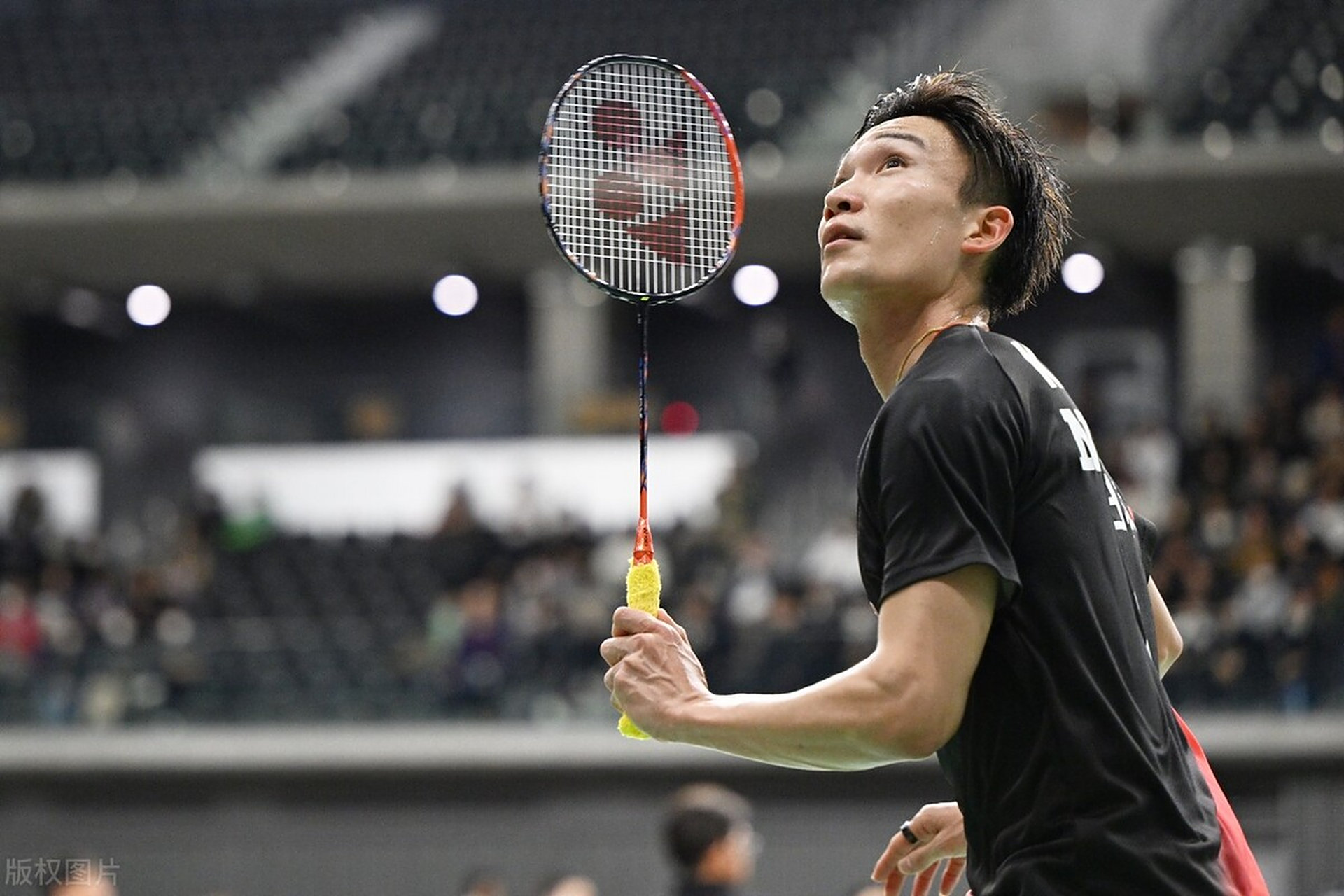 包含泰国队完胜中国队,桃田贤斗高光表现的词条 包含泰国队完胜中国队,桃田贤斗高光表现的词条