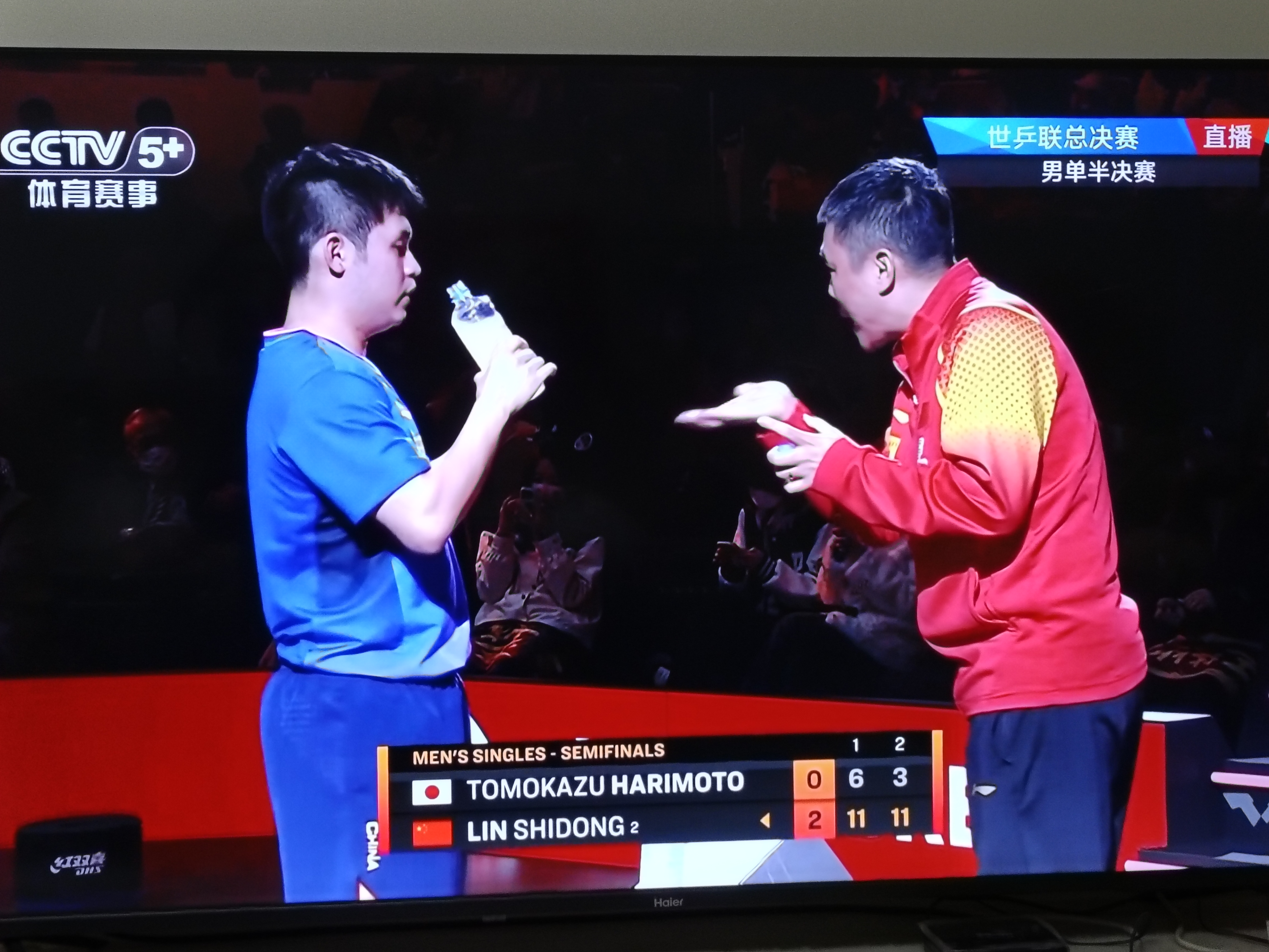 波兰队险胜德国队,张本智和惊艳四座的简单介绍 波兰队险胜德国队,张本智和惊艳四座的简单介绍