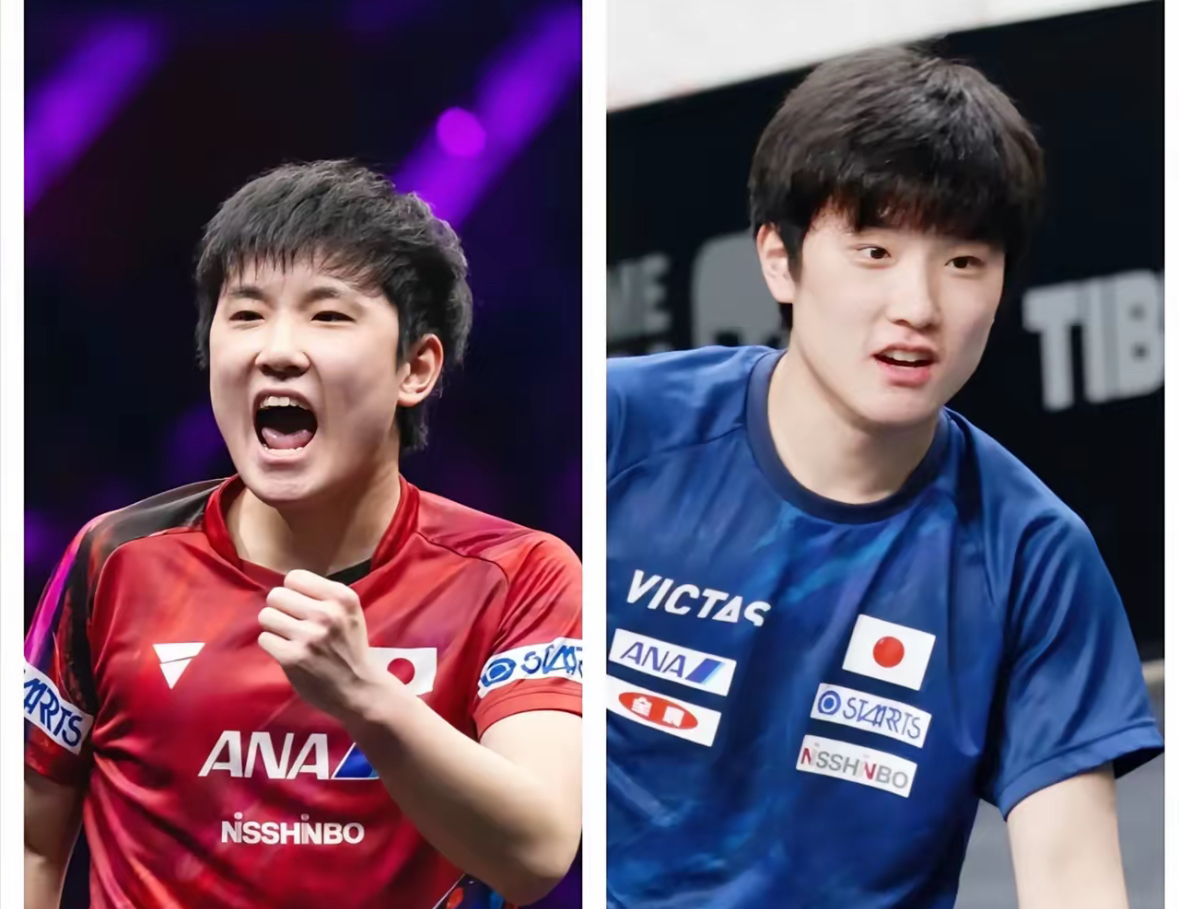 波兰队险胜德国队,张本智和惊艳四座的简单介绍 波兰队险胜德国队,张本智和惊艳四座的简单介绍